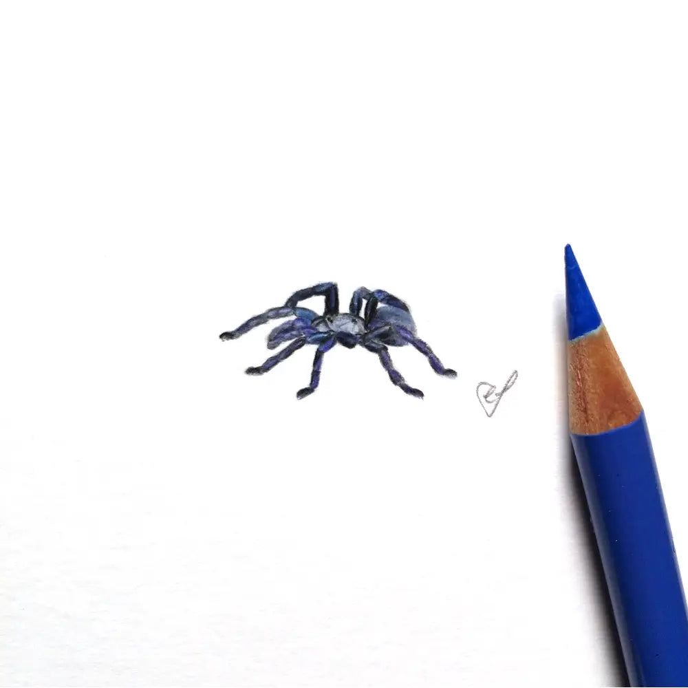 Tarantula miniature #407