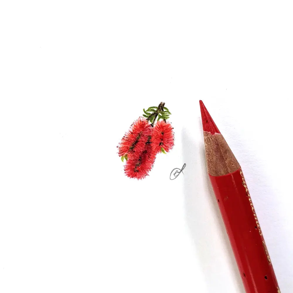 Bottlebrush miniature #950